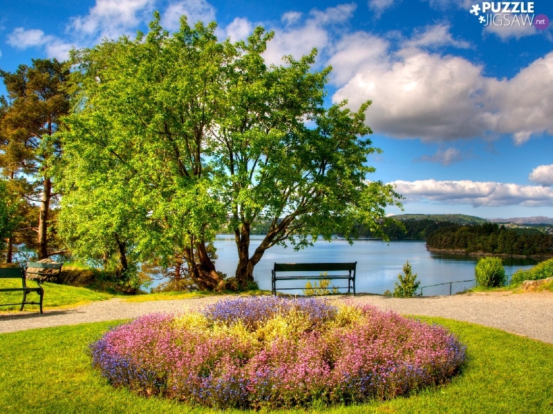 bench, Mountains, flowerbed, Flowers, lake