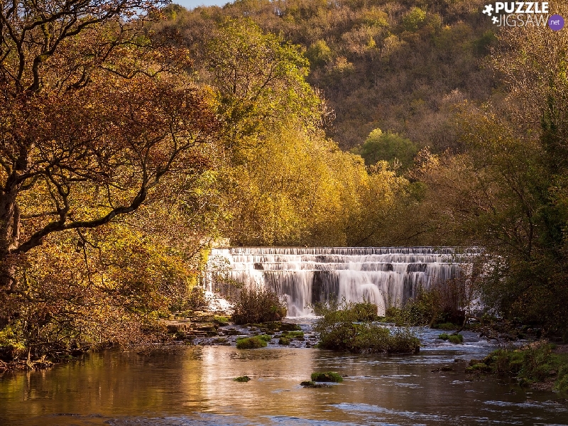viewes, autumn, waterfall, cascade, River, trees
