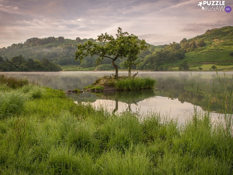 viewes, grass, Fog, trees, lake, The Hills, clouds