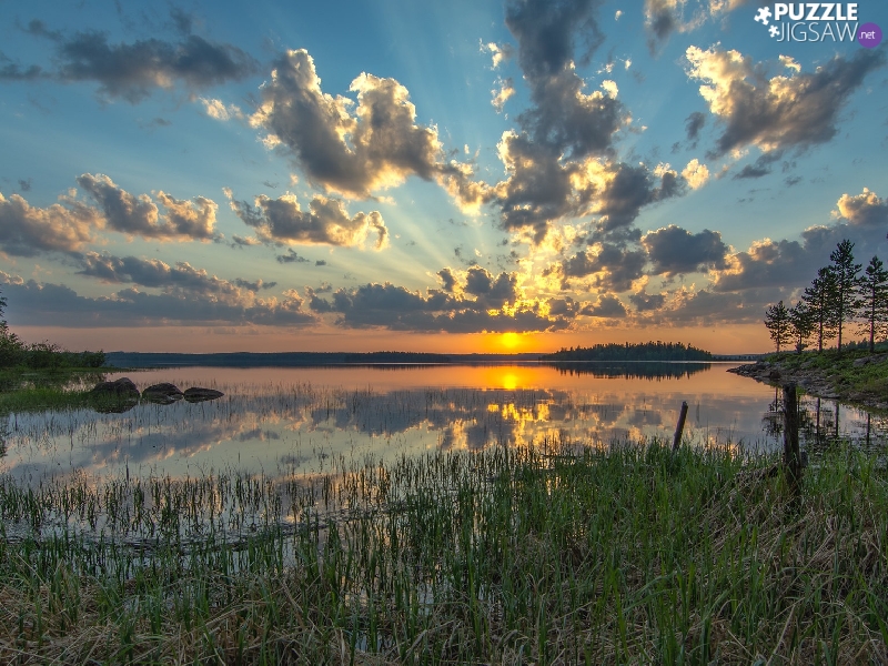 viewes, lake, Sky, trees, Great Sunsets, grass, clouds
