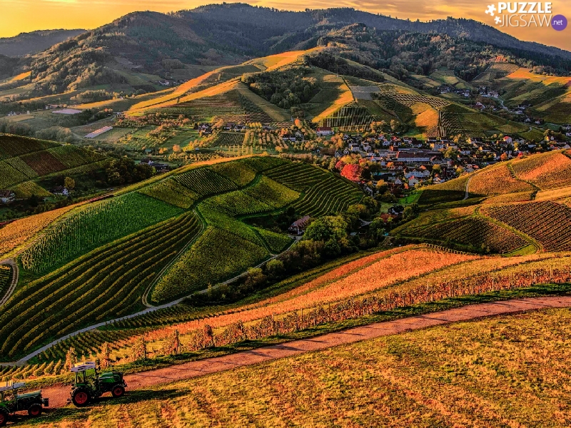 The Hills, vineyards, country, Houses, Mountains, field