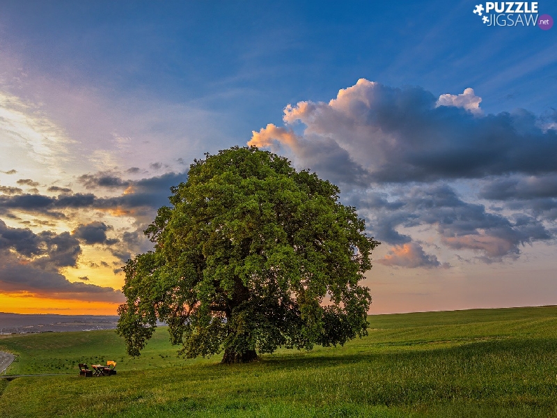 Great Sunsets, trees, Field, bench, clouds, oak