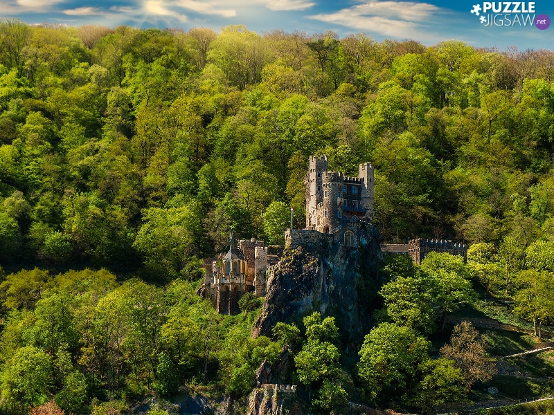 trees, Rheinstein Castle, forest, Germany, viewes, Rocks