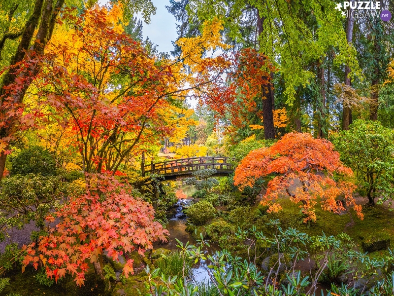 viewes, Oregon, Japanese Garden, Coloured, autumn, The United States, Portland, bridges, VEGETATION, trees
