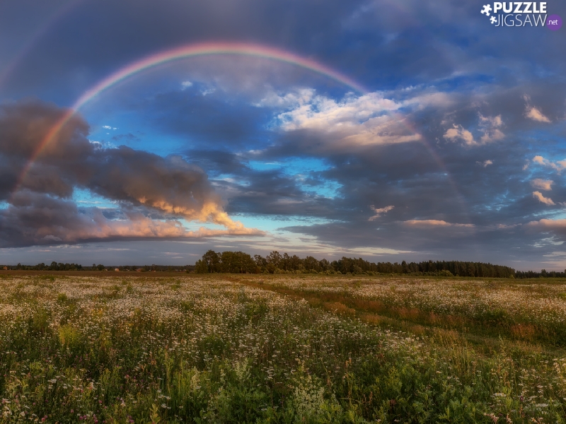 trees, Meadow, clouds, Great Rainbows, viewes, Path
