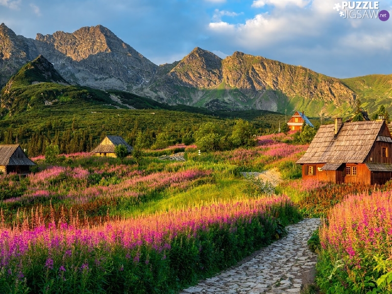 Houses, Tatras, Tatra National Park, Way, Mountains, Flowers, Poland