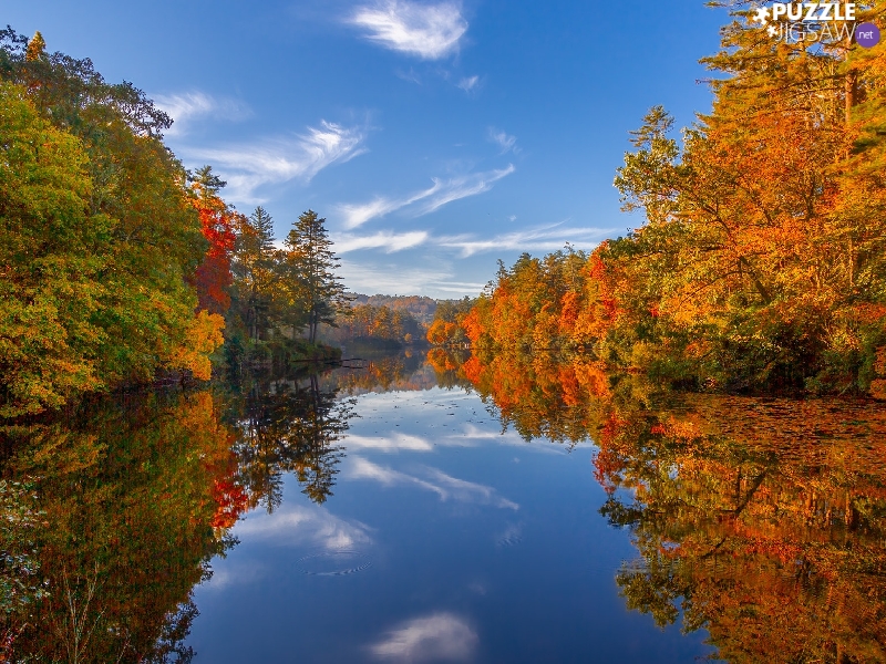lake, North Carolina, trees, forest, The United States, autumn, viewes