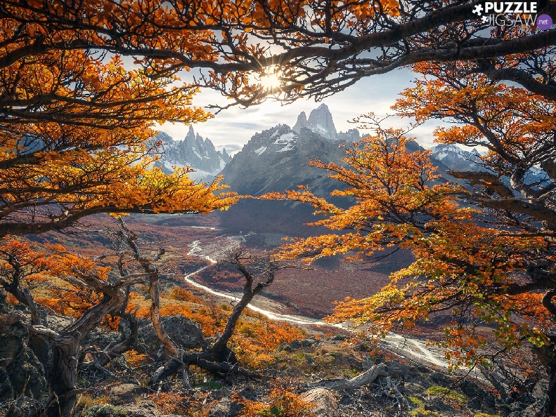 autumn, Argentina, Fitz Roy Mountain, Mountains, trees, rays of the Sun, River Rio de las Vueltas, Los Glaciares National Park, Patagonia, viewes, branch pics