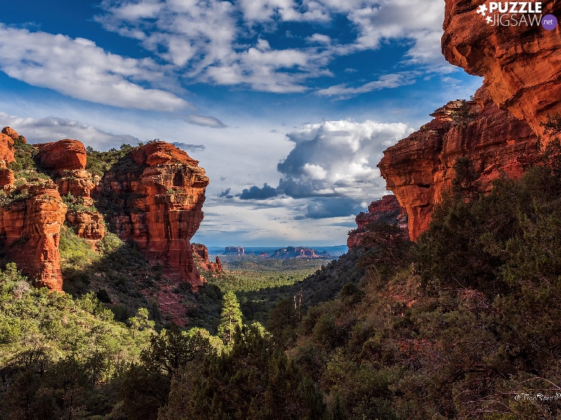 rocks, State of Arizona, trees, Sedona, The United States, Rock Formations, viewes