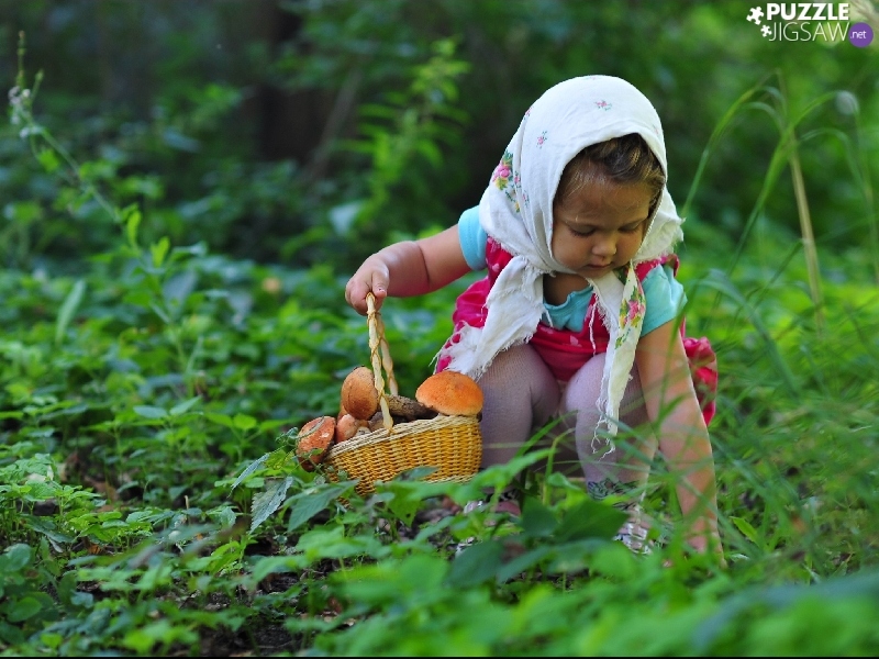 http://www.puzzle-jigsaw.net/jigsaw/scarf-girl-mushrooming-forest.jpg