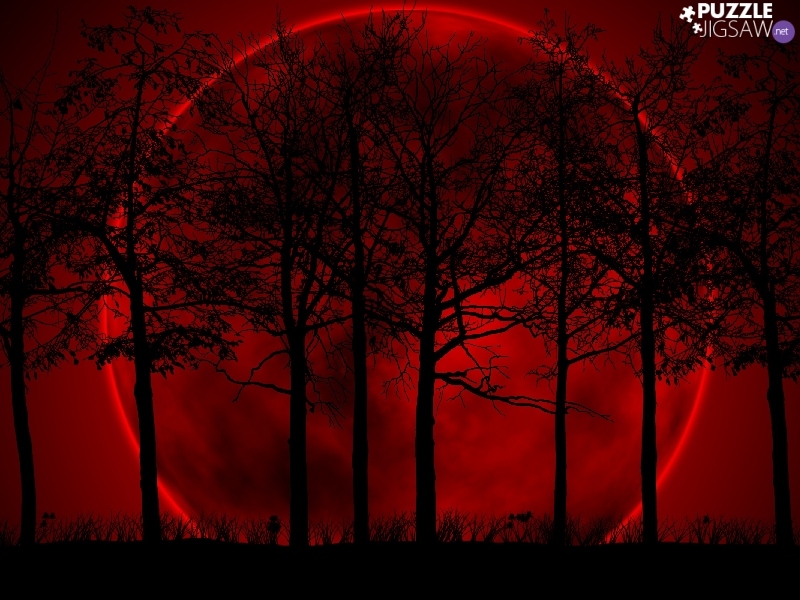 Sky, Planet, viewes, Red, trees