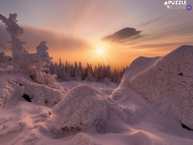 Sky, Frost, forest, drifts, trees, winter, snow, Great Sunsets, clouds, viewes