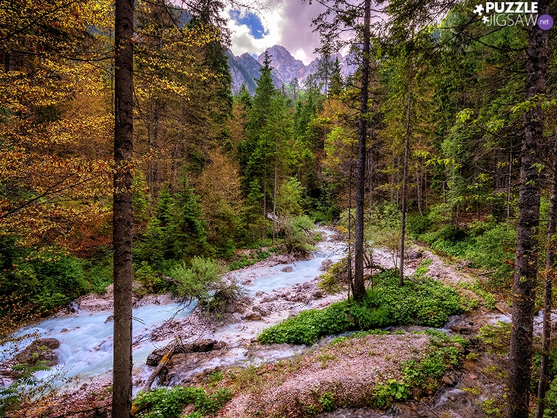 viewes, River, clouds, stream, Mountains, trees, forest, Stones