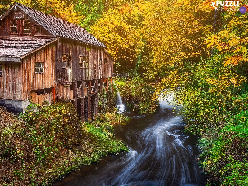 forest, autumn, trees, viewes, Washington State, The United States, River, Cedar Creek Mill Grist Mill, waterfall