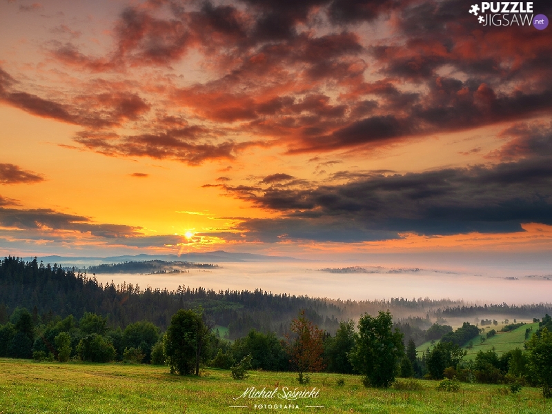 viewes, woods, clouds, trees, Mountains, Field, Sunrise