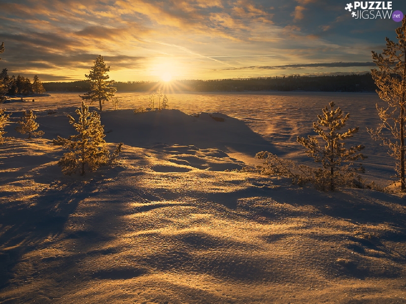trees, viewes, Norway, snowy, Ringerike, winter, Great Sunsets, lake