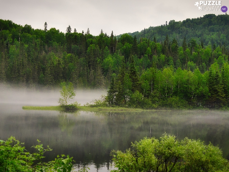 trees, viewes, Fog, forest, lake