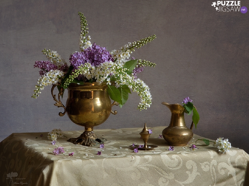 bouquet, Vase, White, Flowers, jug, Table, Violet, without, Bird Cherry