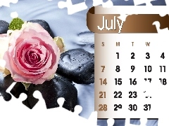 Calendar, july, 2013, rose
