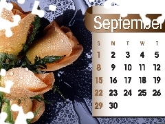 Calendar, september, 2013, roses