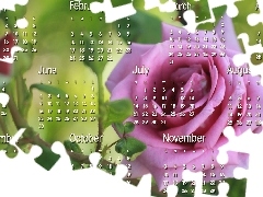 graphics, Calendar, 2013, roses