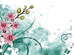 2D, orchids, graphics