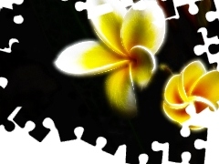 Fractalius, Plumeria