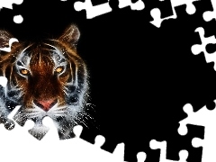 tiger, 3D