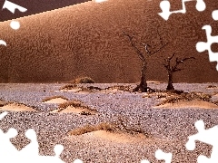 Namib, Africa