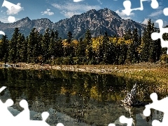 Alberta, Canada, forest, River, Mountains