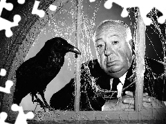 Crow, director, Alfred Hitchcock