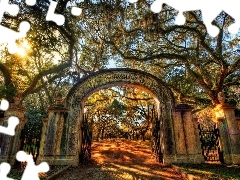 trees, Park, Gate, light breaking through sky, viewes, alley