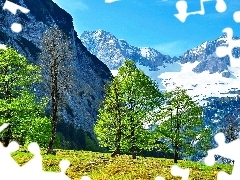 trees, Mountains, Alps, Austria, viewes, snow