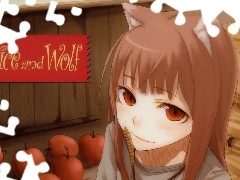 Spice and Wolf