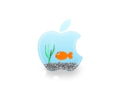 aquarium, Apple