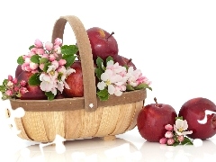 basket, Flowers, apple, apples