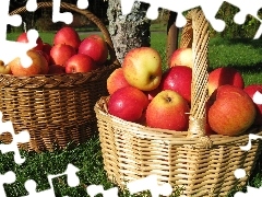 apples, Baskets, buxom