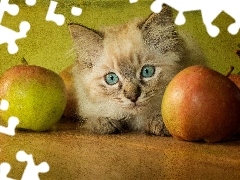 cat, apples