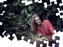 apples, harvest, orchard, basket, Women