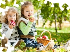 Kids, basket, apples, Meadow