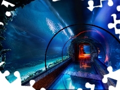 Aquarium, immersed, tunnel