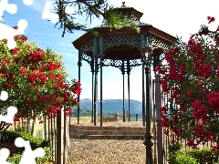 arbour, Garden, Flowers