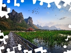 Mountains, Platform, arbour, pool