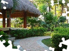 Palms, arbour, trees, viewes, Pavement