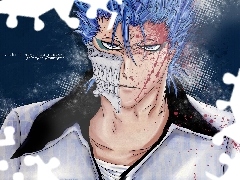 number 6, Grimmjow, Arrancar