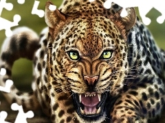 Art, furious, Leopards