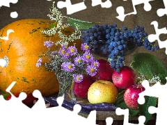 apples, composition, Flowers, Aster, Grapes, pumpkin