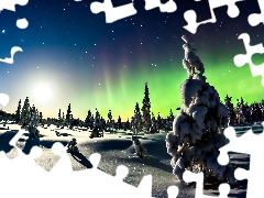 aurora polaris, winter, viewes, star, trees, snow