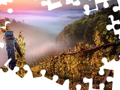 post, The Hills, Styria, vineyards, Sunrise, Fog, Austria