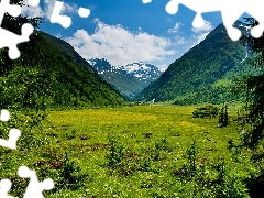 Mountains, Tirol, Austria, woods